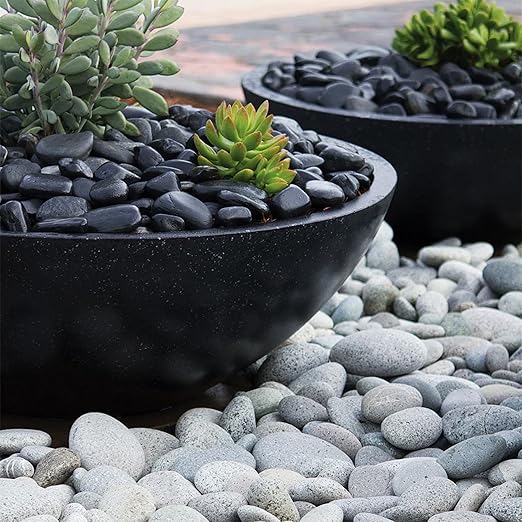 10lbs Black Pebbles for Plants, 1-2Inch Natural River Rocks for Aquarium, High Polished Decorative Stones for Vase Filler Fish Tank Landscaping Garden