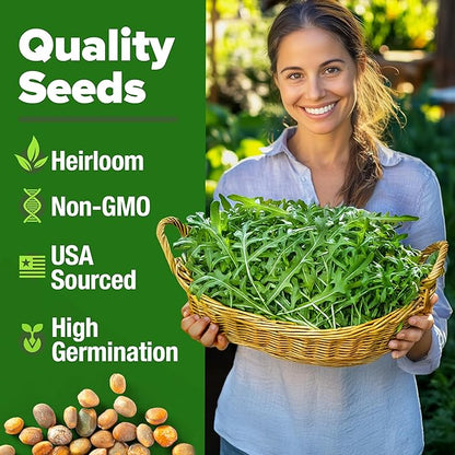 HOME GROWN 𝗨𝗦𝗔 𝗣𝗥𝗘𝗠𝗜𝗨𝗠 Arugula Roquette Seeds Pack 2,175 𝗡𝗢𝗡-𝗚𝗠𝗢 Heirloom Arugula Seeds for Planting Best for Outdoor Gardens,Providing Fast-Growing Greens for Salads - Eruca vesicaria