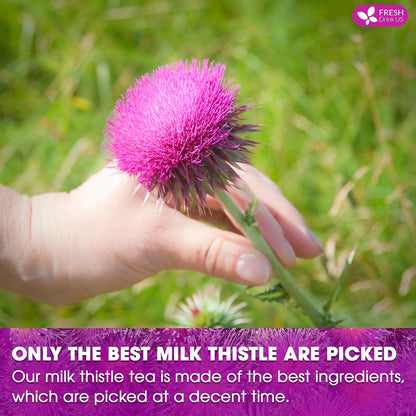 FreshDrinkUS, Premium 75 Milk Thistle Tea Bags, 100% Natural & Pure from Milk Thistle Seeds. Milk Thistle Seed Herbal Tea. Made with Natural Material Tea Bags. No Sugar, No Caffeine, No Gluten, Vegan.