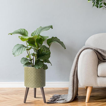 D'vine Dev 10 Inch Modern Geometric Tile Patterned Sleek Planter Pot with Stand, Indoor Outdoor Decorative Plant Holder, Distressed Olive, 88-Z-B-4