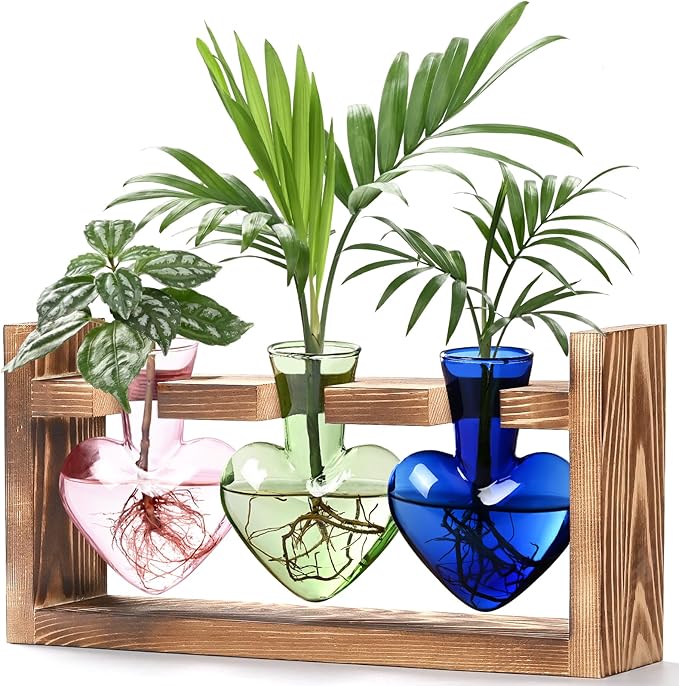 Lifecapido Heart Shaped Propagation Stations, Plant Terrarium with Wooden Stand, Plant Propagation Station for Hydroponics Office Garden Home Decor, Gifts for Women Plant Lover (3 Vases, Multicolor)