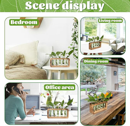 Glass Plant Propagation Station with 5 Test Tubes Colorful Planter Vase Birthday Gifts for Women in Wooden Stand