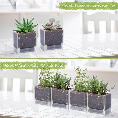 4 Inch Herb Planter Pot, Plastic Planter with Drainage Holes and Saucer, Modern Decorative Gardening Pot for Indoor Plants, Flowers, Herbs, Succulents, Clear, Set of 4, 76-Y-D-4