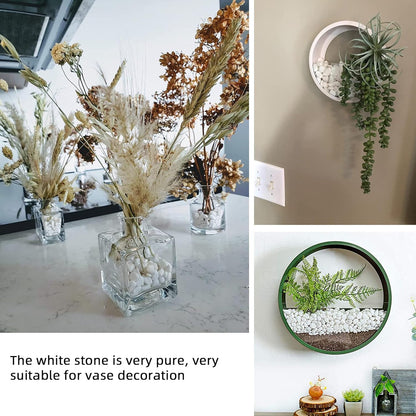 White Pebbles for Plants Garden 18 lb White Rocks Gravel Decorative Stones Landscaping Vase Fillers 1/2"