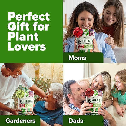 HOME GROWN 6 Herb Seeds for Planting 3,200+ Non-GMO Heirloom Seeds | Extra Large Variety Pack Herb Kit – Indoor Outdoor & Hydroponic | Culinary Seed Set | Grow Your Own Herbs | Gift for Beginners