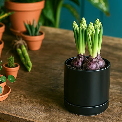 D'vine Dev 4.7 Inch Ceramic Planter Pot with Drainage Hole and Saucer, Indoor Cylinder Round Planter Pot, Black, 94-O-B-2