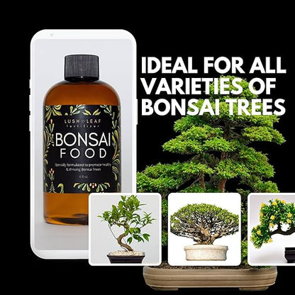 Lush Leaf | Plant Food (Bonsai)