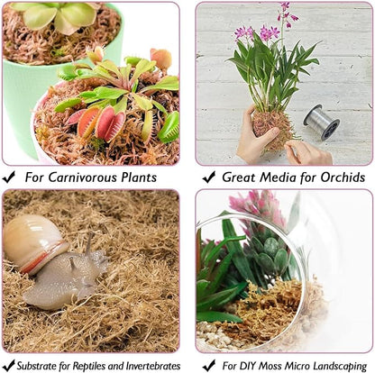 Halatool 1.1LBS Sphagnum Moss for Orchids, Plants, Succulent, Carnivorous, 25QT Natural Dried Long Fiber Sphagnum Moss Bulk for Moss Pole, Moss for Plants Indoor and Outdoor Growing Media