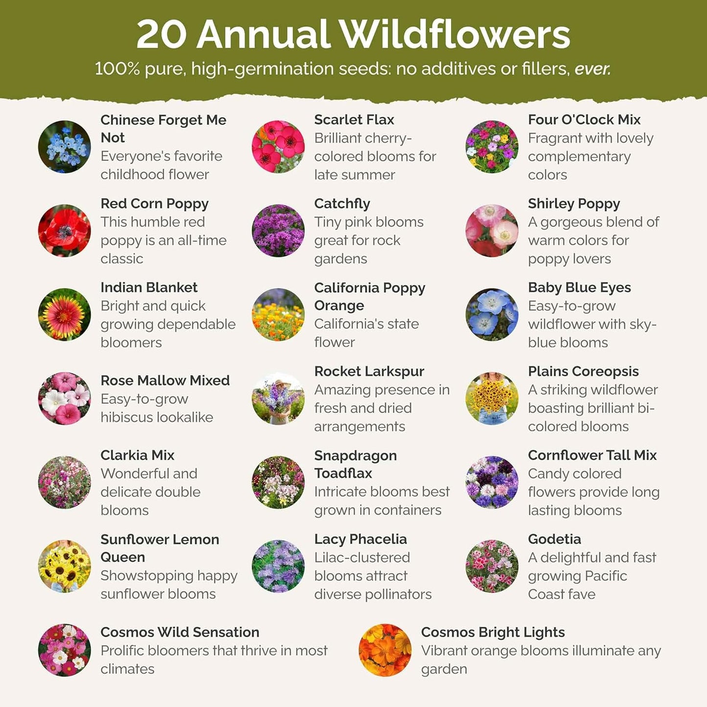 Eden Brothers All Annual Wildflower Mixed Seeds for Planting, 5 lb, 2,400,000+ Seeds with Sunflower, Indian Blanket, Scarlet Flax | Attracts Pollinators, Plant in Spring, Zones 3, 4, 5, 6, 7, 8, 9, 10