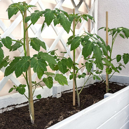 Plant Stakes,16 Inches Natural Garden Bamboo Sticks,BOVITRO 20Pcs Plant Support Stakes for Tomatoes,Beans,Vegetable and Potted Plants