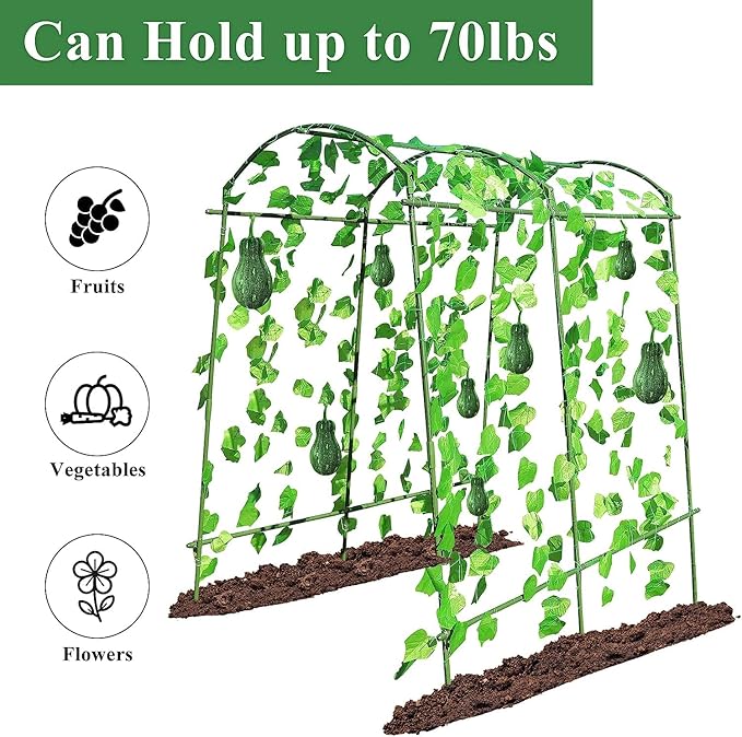 Large Garden Arch Trellis Tunnel Trellis for Climbing Plants Outdoor Vegetables Like Squash Cucumber and Grape