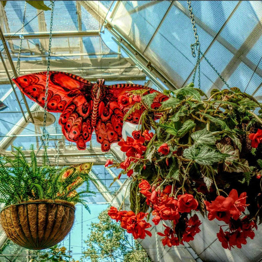 14 inch Coco Liner for planters, 2PCS Round Replacement Plant Basket Liners Coco Fiber Liner for Hanging Basket (14 inch Round)