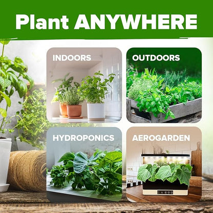HOME GROWN 30 Herb Seeds for Planting 9,500+ Non-GMO Heirloom Seeds | Extra Large Variety Pack Herb Kit – Indoor Outdoor & Hydroponic | Culinary Seed Set | Grow Your Own Herbs | Gardening Gift
