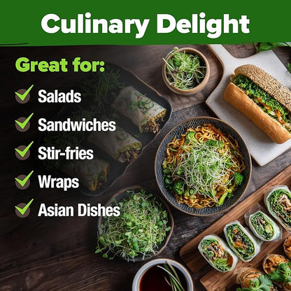 HOME GROWN Premium Sprouting Seeds Mix - Microgreens Seeds for Indoor Growing - Non-GMO Broccoli, Alfalfa, Radish, Clover Sprouts Seed - 16oz Resealable Pack for Healthy Salad & Juicing