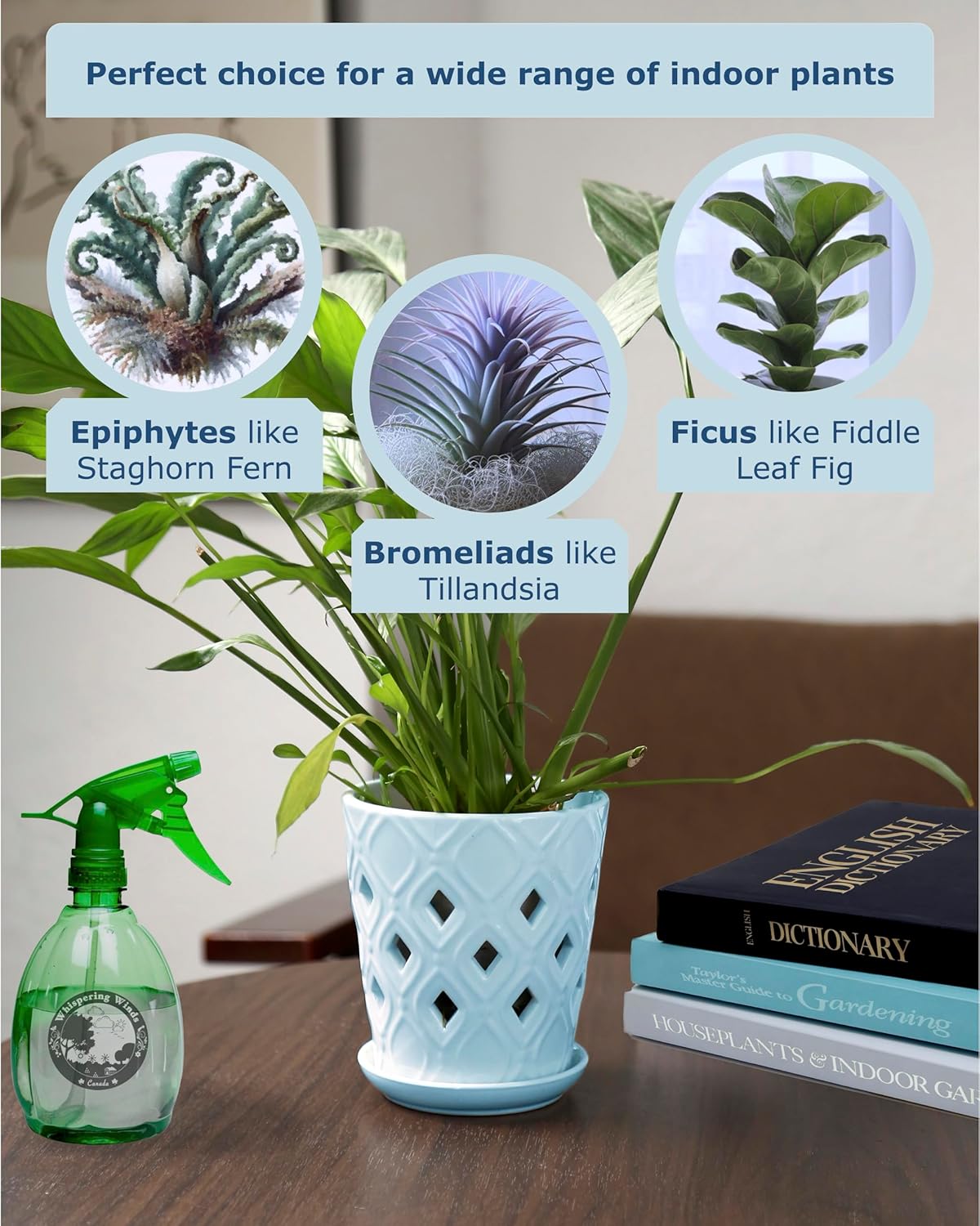 Whispering Winds Ceramic 5 x 6 Inch Orchid Pot with Holes & Saucer for Aeration and Drainage - Decorative Orchid Pots for Repotting, Prevent Over Watering & Root Rot (Charlotte Blue)