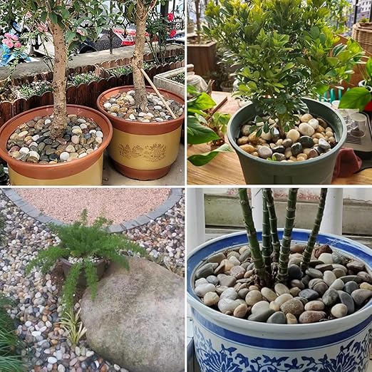 20LB Mixed Color River Rocks - 2-3 inch High Polished Decorative Pebbles, Stones for Landscaping, Natural River Rocks for Outdoor Décor, Plants,Vase Filler,Fish Tank