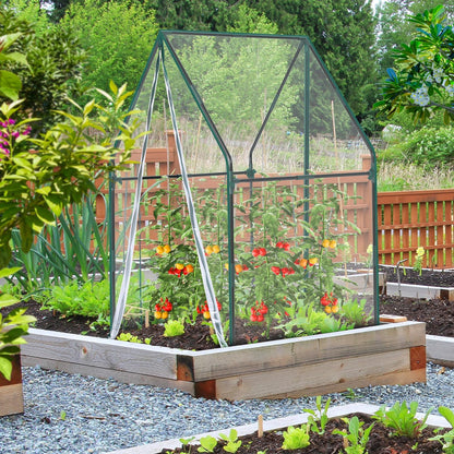 Mini Greenhouse for Indoor Outdoor: Ohuhu Portable Green House with Waterproof Pad for Small Plants Nursery Germination, 36"x36"x58.5" Heavy-Duty PVC Cover Tent Humidity Dome Seedling Accessory