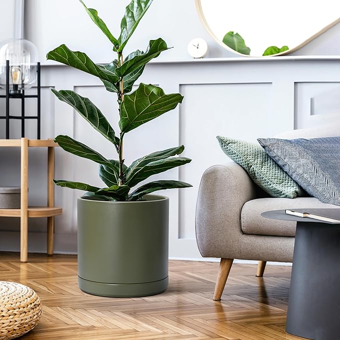 D'vine Dev 12 Inch Ceramic Planter Pot with Drainage Hole and Saucer, Indoor Cylinder Round Planter Pot, Olive, 94-O-F-J