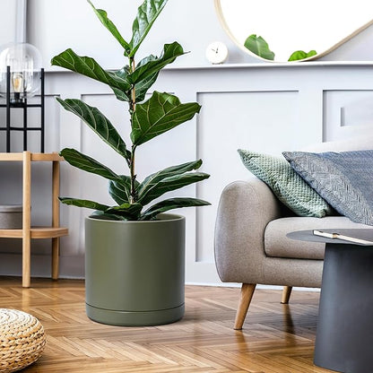 D'vine Dev 12 Inch Ceramic Planter Pot with Drainage Hole and Saucer, Indoor Cylinder Round Planter Pot, Olive, 94-O-F-J