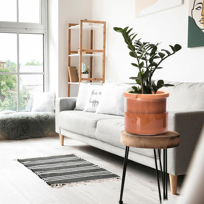 Phoenix Vine 8 Inch Self Watering Planter Pots, Design White Terracotta Pots for Plants, Indoor Cylinder Terra Cotta Pots with Glass Vase, Set of 1, 51-A-H-1