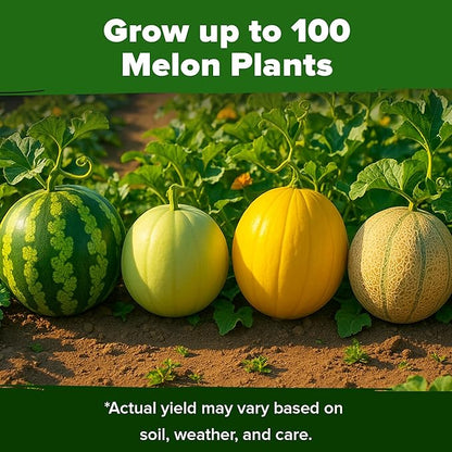 HOME GROWN 𝗨𝗦𝗔 𝗣𝗥𝗘𝗠𝗜𝗨𝗠 Melon Seeds Variety Pack 5 𝗡𝗢𝗡-𝗚𝗠𝗢 Heirloom Vegetable Seeds, Watermelon Cantaloupe Honeydew Sugar Baby & Melon, High Germination for Planting Home Garden Indoors