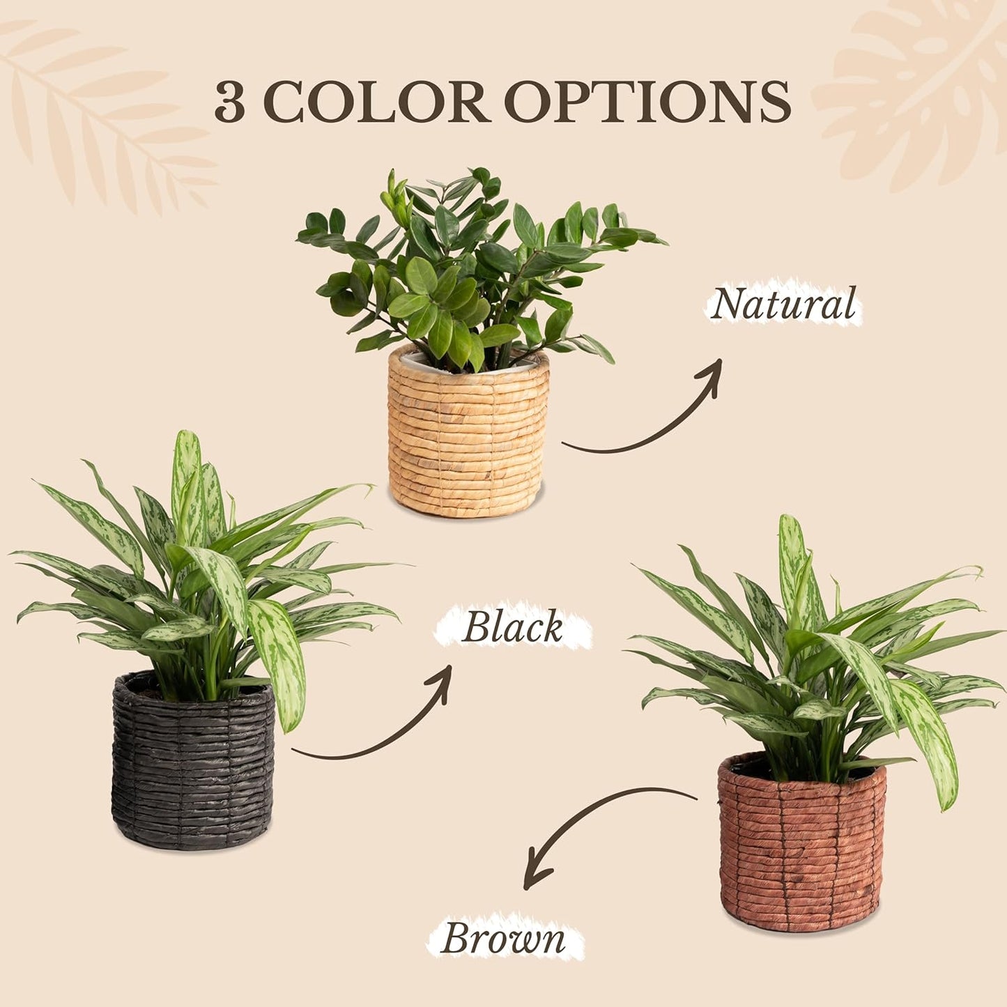 Set of 2 Water Hyacinth Planter Pot Indoor for Plant, Flower Pot, Succulent Pot, Basket Planter, Decorative Pot Cover (Black)