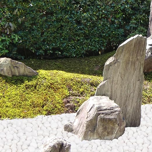 30 lbs White Rocks for Plants Indoor, 1-2 inch Decorative Garden Stone Outdoor Landscaping, Walkways, Yard, Large Polished River Rocks for Plants Pots, Vases, Crafts