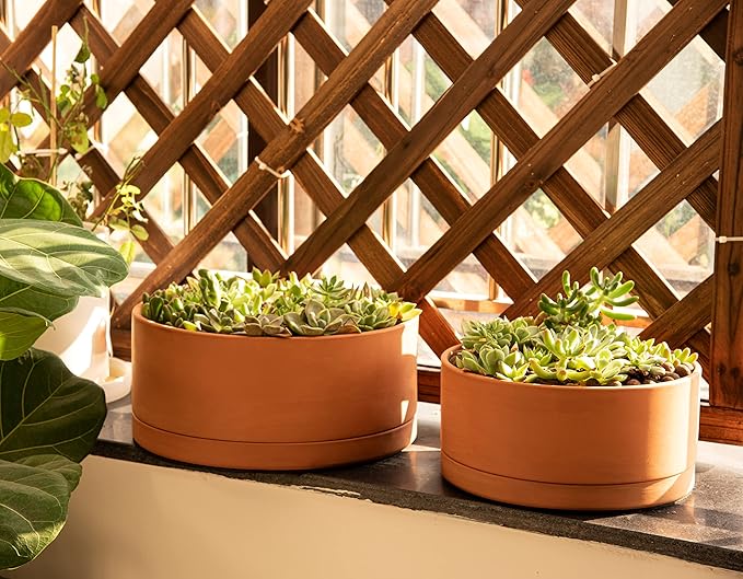 D'vine Dev 10 Inch Succulent Terracotta Shallow Pot with Drainage Hole and Saucer, Round Cylinder Planter Pot for Plant Flower, 40-Y-B-0