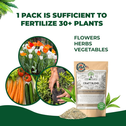 BuildASoil Fertilizer for Vegetable Garden and Organic Plant Food | Hand-Crafted Organic Fertilizer with 15 Premium Ingredients | Ensures Larger Plants and More Fragrant Flowers (3 LB - Small Bag)