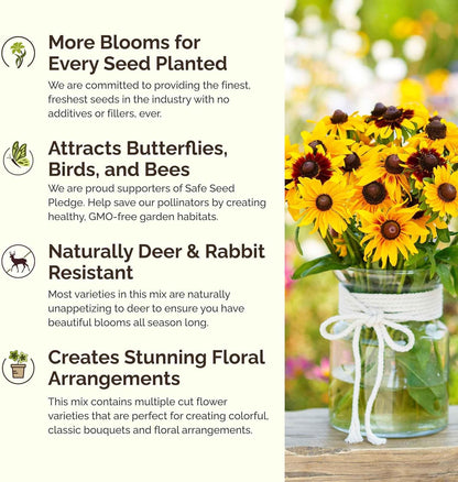 Eden Brothers Daisy Crazy Flower Mixed Seeds for Planting, 1/4 lb, 120,000+ Seeds with Creeping, Painted, Yellow Daisy | Attracts Pollinators, Plant in Spring or Fall, Zones 3, 4, 5, 6, 7, 8, 9, 10