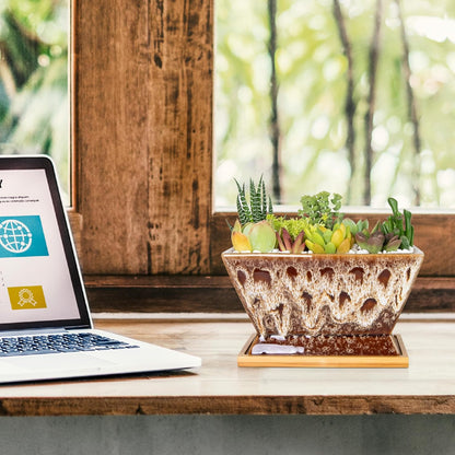 ARTKETTY Succulent Pots - 7 Inch Large Plant Pot with Drainage Tray, Shallow Ceramic Pots for Indoor Plants, Modern Cactus Bonsai Plant Container Decorative Home Office