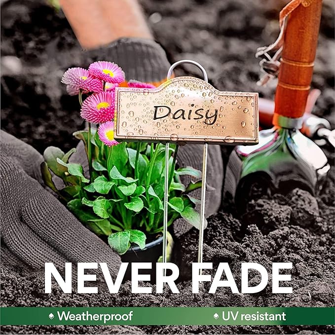 Stainless Steel 304 Plant Labels Weatherproof, Metal Garden Label Tall Markers 25 Pack for Plants Vegetables Herb Seedlings Flowers with 2 Pens, Height 10.75 Inch, Label Area 3.74'' x 1.39''