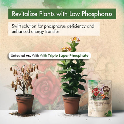 Triple Super Phosphate 0-46-0 Fertilizer, high Phosphorus Fertilizer Stronger Roots & Flower Formation, Ideal Super Phosphate for Plants - Flowers, Fruits, Vegetables & Turf, 5 lb