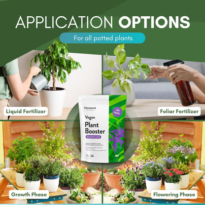 PLANT BOOSTER Indoor Plant Food Water Soluble Flakes Organic Seaweed Fertilizer NO SMELL Best House Plant Feed Eco Friendly, Certified Vegan Organic Plant Fertilizer 500g/350l
