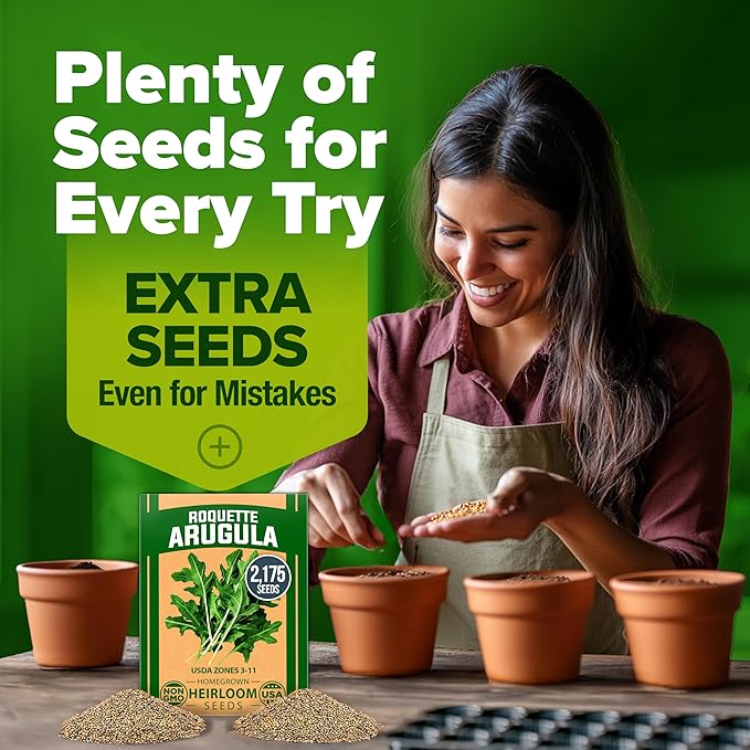 HOME GROWN 𝗨𝗦𝗔 𝗣𝗥𝗘𝗠𝗜𝗨𝗠 Arugula Roquette Seeds Pack 2,175 𝗡𝗢𝗡-𝗚𝗠𝗢 Heirloom Arugula Seeds for Planting Best for Outdoor Gardens,Providing Fast-Growing Greens for Salads - Eruca vesicaria