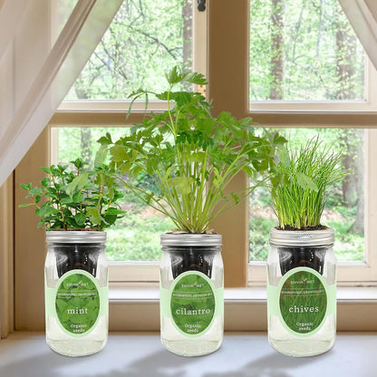 Hydroponic Herb Growing Kit Set, Self-Watering Mason Jar Herb Garden Starter Kit Indoor, Grow Your Own Herbs from Seeds (Cilantro, Mint & Chives)