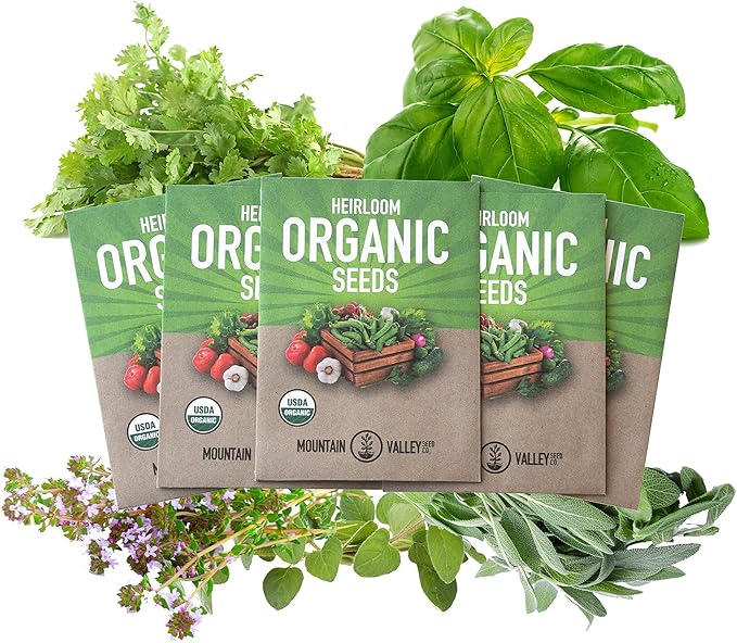 Organic Italian Herb Garden Seed Collection - 5 Non-GMO, Organic Seed Packets - Oregano, Thyme, Basil, Sage, Cilantro - Kitchen Culinary Herb Gardening Seeds