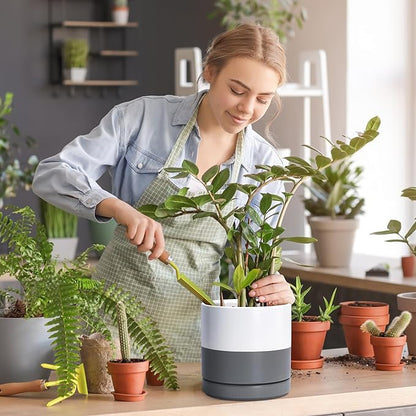 D'vine Dev 8.2 Inch Ceramic Planter Pot with Drainage Hole and Saucer, Indoor Cylinder Round Planter Pot, White/Speckled Grey, 94-O-D-6