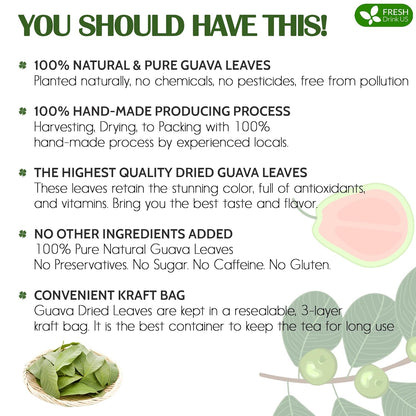 FreshDrinkUS, Premium 50+ Natural Guava Leaves, Whole Dried Leaves, 100% Pure, Natural Guava Loose Leaf Herbal Tea, Non GMO, No Additives, No Caffeine, Vegan