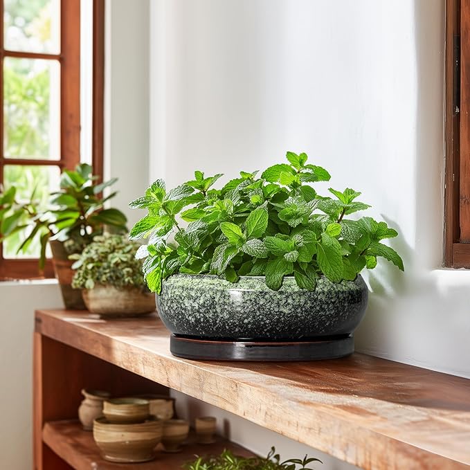 Bonsai Pots 10 Inch - Ceramic Pots for Plants Indoor Outdoor, Succulent Pot with Drainage Hole and Saucer, Large Bonsai Planter, Round Shallow Planter, Office Decor, Gardening Gift, Green