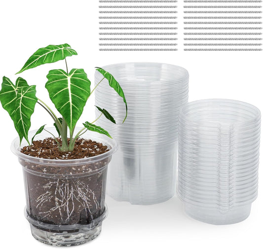 20 Pack 5 Inch Clear Self Watering Plant Pots with Bottom Water Tray & Watering Rope, Transparent Nursery Pots with Drainage for Seedlings, Herbs, and Houseplants
