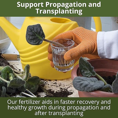 3-1-2 African Violet Fertilizer for Indoor Plants: Liquid Fertilizer with Essential Micronutrients Drops - Plant Food for African Violets (32 OZ)