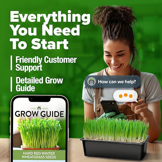HOME GROWN 12,000+ Wheatgrass Seeds Bulk Pack(1.5 lb) 𝗡𝗢𝗡-𝗚𝗠𝗢 𝗨𝗦𝗔 Hard Red Winter Wheatgrass – Heirloom, Sprouting for Juicing, Microgreens, Smoothies & Indoor Gardening(Triticum aestivum)