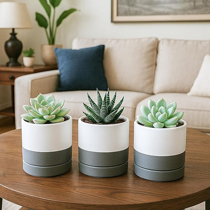 D'vine Dev 4.7 Inch Ceramic Planter Pot with Drainage Hole and Saucer, Indoor Cylinder Round Planter Pot, White/Speckled Grey, 94-O-B-6