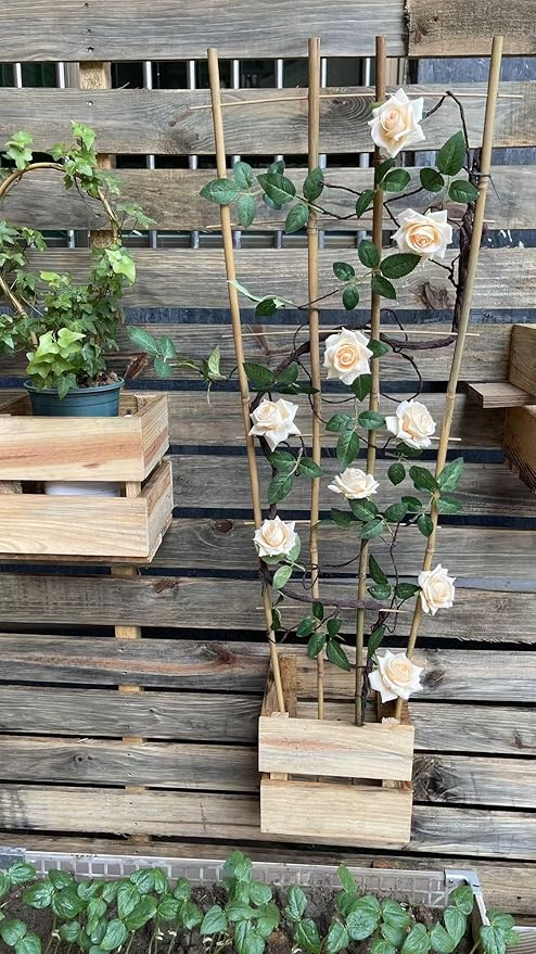 Natural Bamboo Trellis, 4Feet,6Pack,Fan-Shaped Plant Support Trellis for Outdoor and Indoor Potted Climbing Plants,Vegetables, Cucumber, Tomato, Hoya, Wisteria,Ivy,Orchid, Jasmine Monstera, Vine,