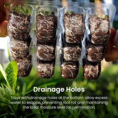 MIXC Seed Starter Kit with Grow Light, Elevated Seedling Tray Kit with Adjustable Humidity Dome and Clear Cell Tray, 12 Full Spectrum Led Beads for Seed Starting Greenhouse, 4 Pack, Green