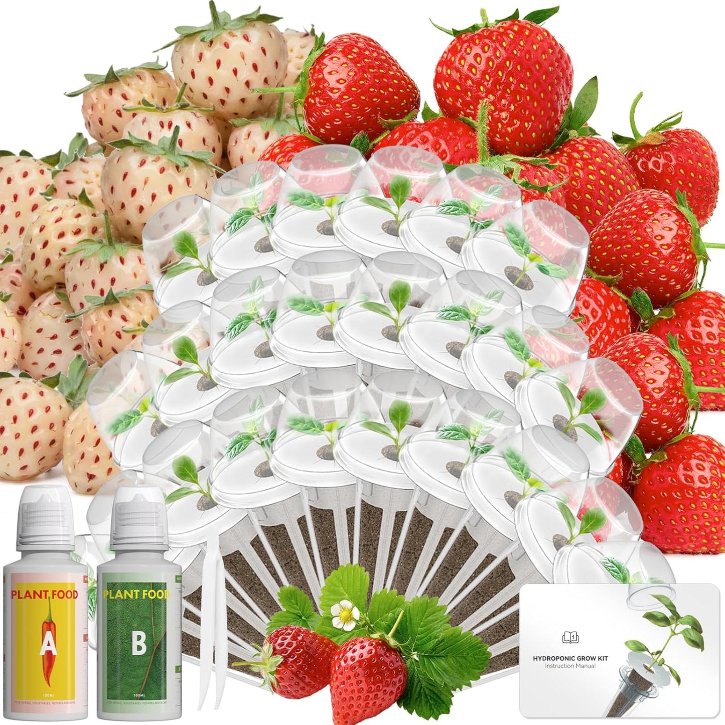 LYKOCLEAN Hydroponic Seed Pod Kit Compatible with AeroGarden, Ahopegarden, iDoo, MUFGA, 24 Pods Complete Growing Anything Garden Supply with Strawberry Seeds, Grow Sponges, Baskets, Domes, Labels