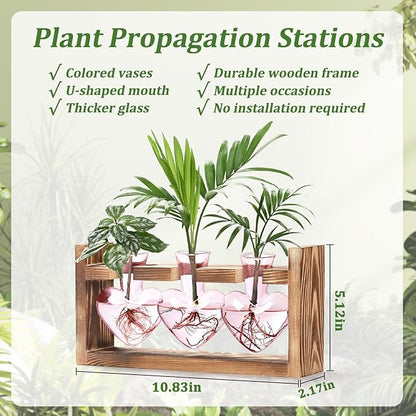 Lifecapido Heart Shaped Propagation Stations, Plant Terrarium with Wooden Stand, Plant Propagation Station for Hydroponics Plants Office Garden Home Decor, Gifts for Women Plant Lover (3 Vases, Pink)