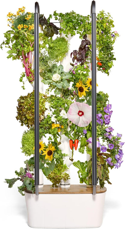 Gardyn 4.0 Vertical Hydroponics Growing System Kit - 30 Non-GMO Plants, Herbs, Vegetables - Smart Tower Garden - Hydroponic Herb Garden Planter Indoor Kit - Indoor Gardening System w/LED Grow Lights