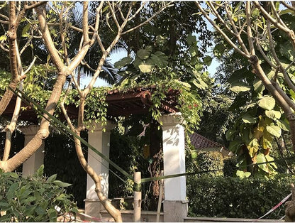 Tree Tie Straps 50 Feet x 3/4 inch Tree Support Straps for Staking and Guying Young Trees Straight and Storm Protection Nylon Plant Tie Rope for Support, Straightening